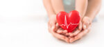 An adult, mother and child hold a red heart in their hands. Concept for charity, health insurance, love, international cardiology day.